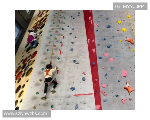 上海攀岩队引领最新攀岩技术前沿十强盘点与分析