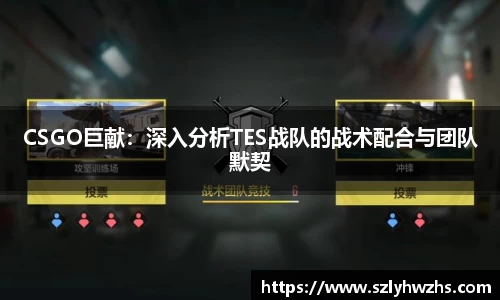 CSGO巨献：深入分析TES战队的战术配合与团队默契